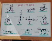 Sommerabschlussfahrt nach Sottrum der KJT-Regenbogenweg-Gruppen