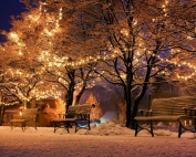 Frohe Weihnachten wünscht die Hospiz-Initiative Salzgitter e.V.