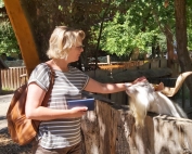 Der Regenbogenweg war im Familienpark Sottrum